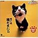 NHK�V�˂Ă�т��񃏃C�h~�V�Ă�L���܂���~