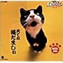 NHK�V�˂Ă�т��񃏃C�h~�V�Ă�L���܂���~
