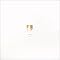 �䂪�t�̃��b�N���ՁA���ȁ{���^PopArt �{�N�̍D����pet shop boys
