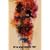 AVERAGE FURY [DVD]