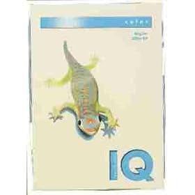 【クリックで詳細表示】バイオトップカラー バニラ A4/80グラム 500T： 文房具・オフィス用品