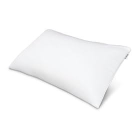TEMPUR  �V�f��T-60! �R���t�H�[�g�s���[