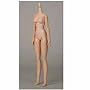 �I�r�c�{�f�B S60 27BD-F06N ����Body SBH-M �i�`������
