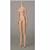 �I�r�c�{�f�B S60 27BD-F06N ����Body SBH-M �i�`������