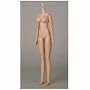 �I�r�c�{�f�B S60 27BD-F07N ����Body SBH-L �i�`������