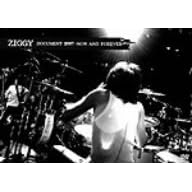 DOCUMENT 2007 -NOW AND FOREVER- [DVD]