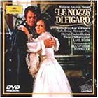 �̌��u�t�B�K���̌����v�S�� [DVD]