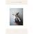 Takashi Homma: Tokyo