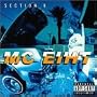Section 8