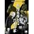 �������ƔT�؏��R [DVD]