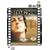 ���b�L�[�q���ʕҁr [DVD]