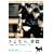 ����Ȃ�A�N��~���E��K���Ȍ��̕���~�X�y�V�����E�G�f�B�V���� [DVD]