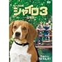 �r�[�O���� �V���C��3-�ŏI��- ���ʔ� [DVD]