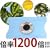 ������ 1200�{ ���q�⌌�t�̊ώ@ ���^�J�[�h������