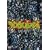 �C���L���o�X: �{�����[�� 2 [DVD]