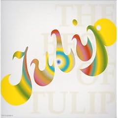 THE BEST OF TULIP