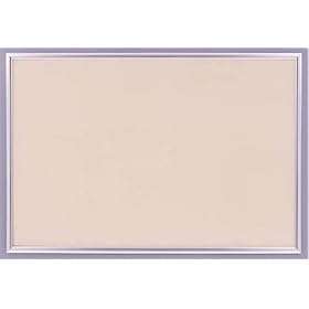 �W�O�\�[�p�l�� �p�l��MAX NO.14 �V���o�[ (50�~75cm) 10