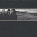 The Joshua Tree