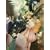 �}�N���X7 ���}�X�^�[�{�b�N�X2 [DVD]