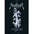 Live at Wacken Open Air 2006 [DVD] [Import]