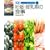 �D�P�E�������̐H�� (�H���Ö@�V���[�Y)