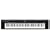 YAMAHA �|�[�^�u���O�����h NP-30