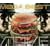 10th Anniversary MEGA BEST(DVD�t)