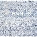 S.E.N.S. CONCERT TOUR 2000 �����ȉ��y [DVD]