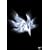 orbital period [DVD]