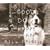 Good Dog, Happy Man [12 inch Analog]
