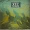 BeachBoys�Ƃ�XTC�Ƃ��A���[�ȂɂȂ�I