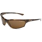 Arnette Asylum Polarized Sunglasses