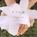 I Love You �� �`/�n�l����