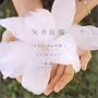 I Love You �� �`/�n�l����
