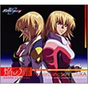 �@����m�K���_�� SEED DESTINY �}���� ���̔�