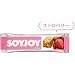 SOYJOY�@�X�g���x���[�@48�{