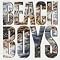 The Beach Boys ����i1500�~�V���[�Y�j