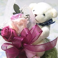 �y5/8�����w��z�y����E�������͂�����1000�~�z��ɑ���v���U�[�u�h�t�����[2009�@�ԑ���������N�}����@�s���N�̉ԑ��P�[�X����y��̓��M�t�g�z�@