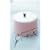 �X�l�[�N�}���V���[�u�y�����e���r�v [DVD]