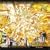 �E�҉��K�I�K�C�K�[FINAL of FINAL �u�_�b-�}�C�\���W�[-�v [DVD]