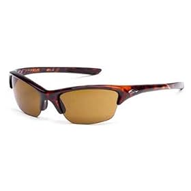 SMITH �T���O���X Interchangeable Series�i�����Y3���t���jTHEORY �t���[���J���[/Tortoise �����Y/BP15,RC36,Y68,C98