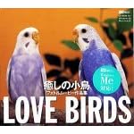Love Birds �����̏���