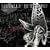 METALLIC BUTTERFLY(���S��������)(DVD�t)
