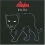 Feline
