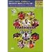 Fantasista AtoZ vol.1~vol.5 5���g�Z�b�g [DVD]