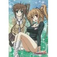 �����ːF�ɐ��܂�� ��5�� �ʏ��(��) [DVD]