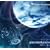 ORBITAL MANEUVER phase2:anemotaxis