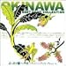 �ڂ���CD���b�N-1 okinawa-1