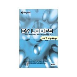 DV LOOPS Vol.1 �q�b�v�z�b�v