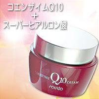 �|���gA Q10�N���[��